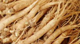 Eleuthero Root ingredient photo